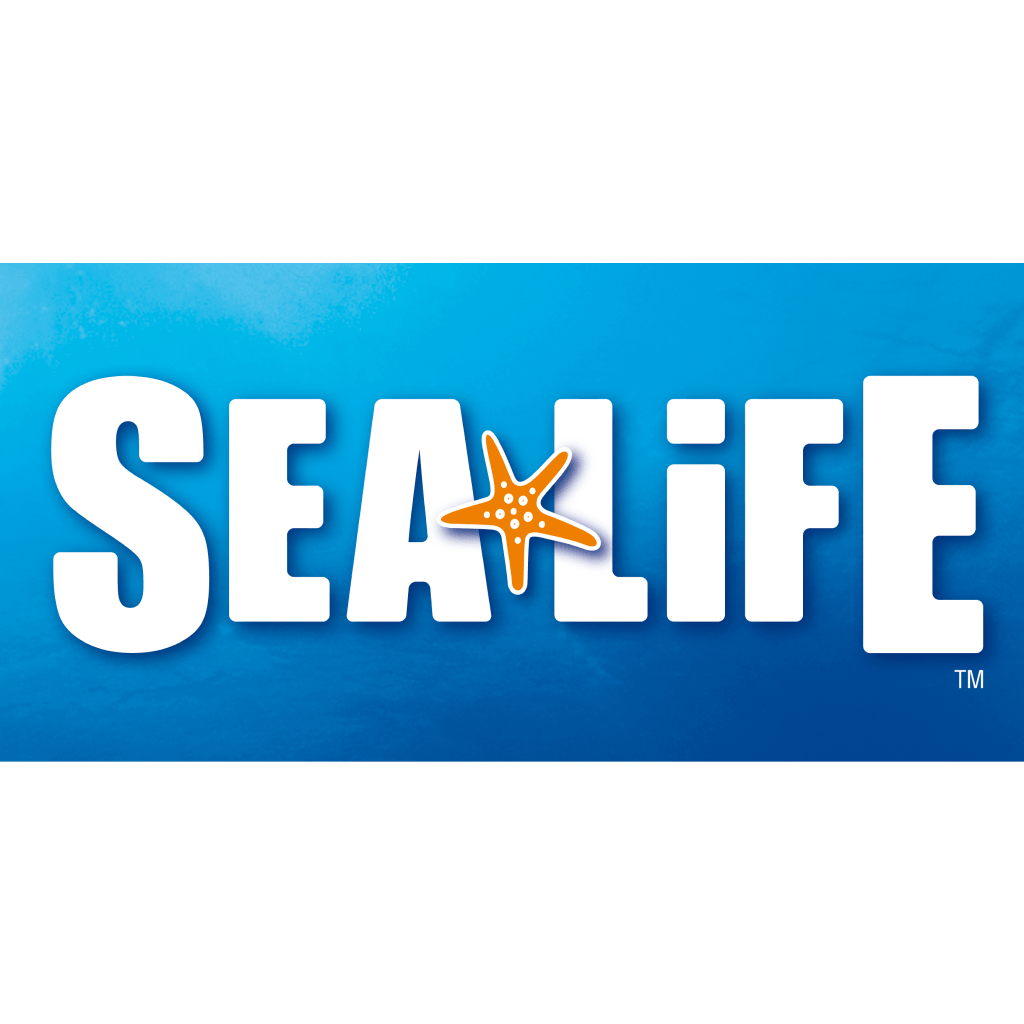 Sea Life